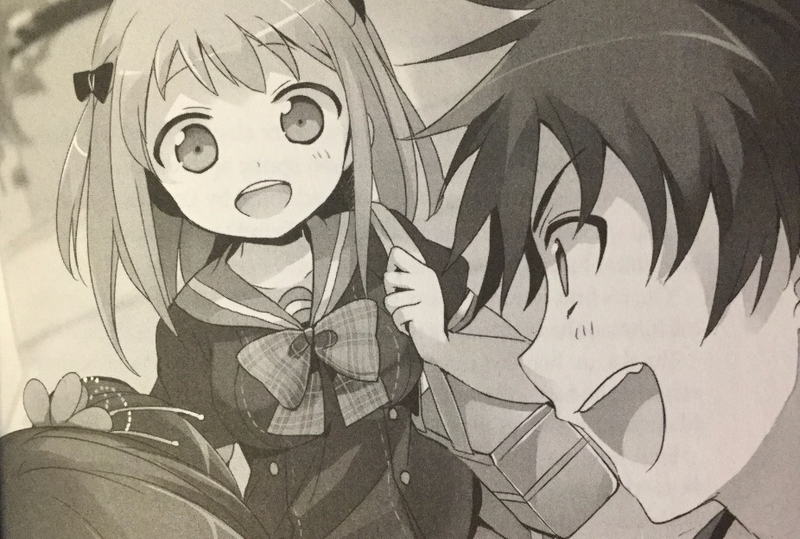 Illustration for article titled The Devil is a Part-Timer! Vol. 3 - Light Novel Review
